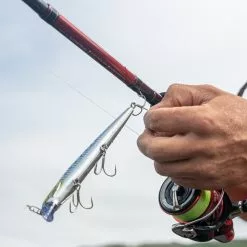 Daiwa Ninja Tele Spinning Rods -Rods Shop zeqd4xrc637961664685991908